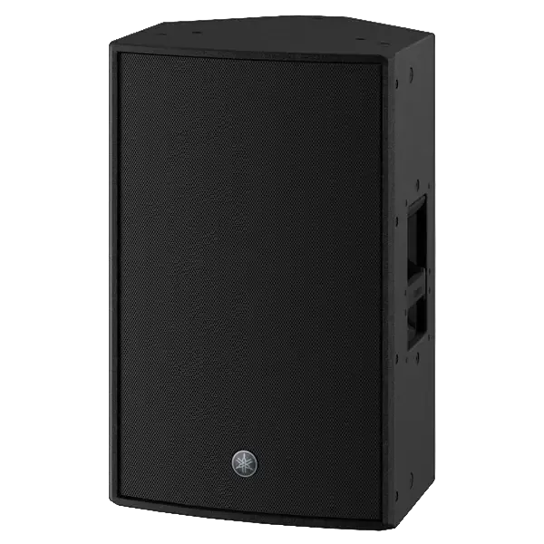 Reprobox Yamaha DZR 12